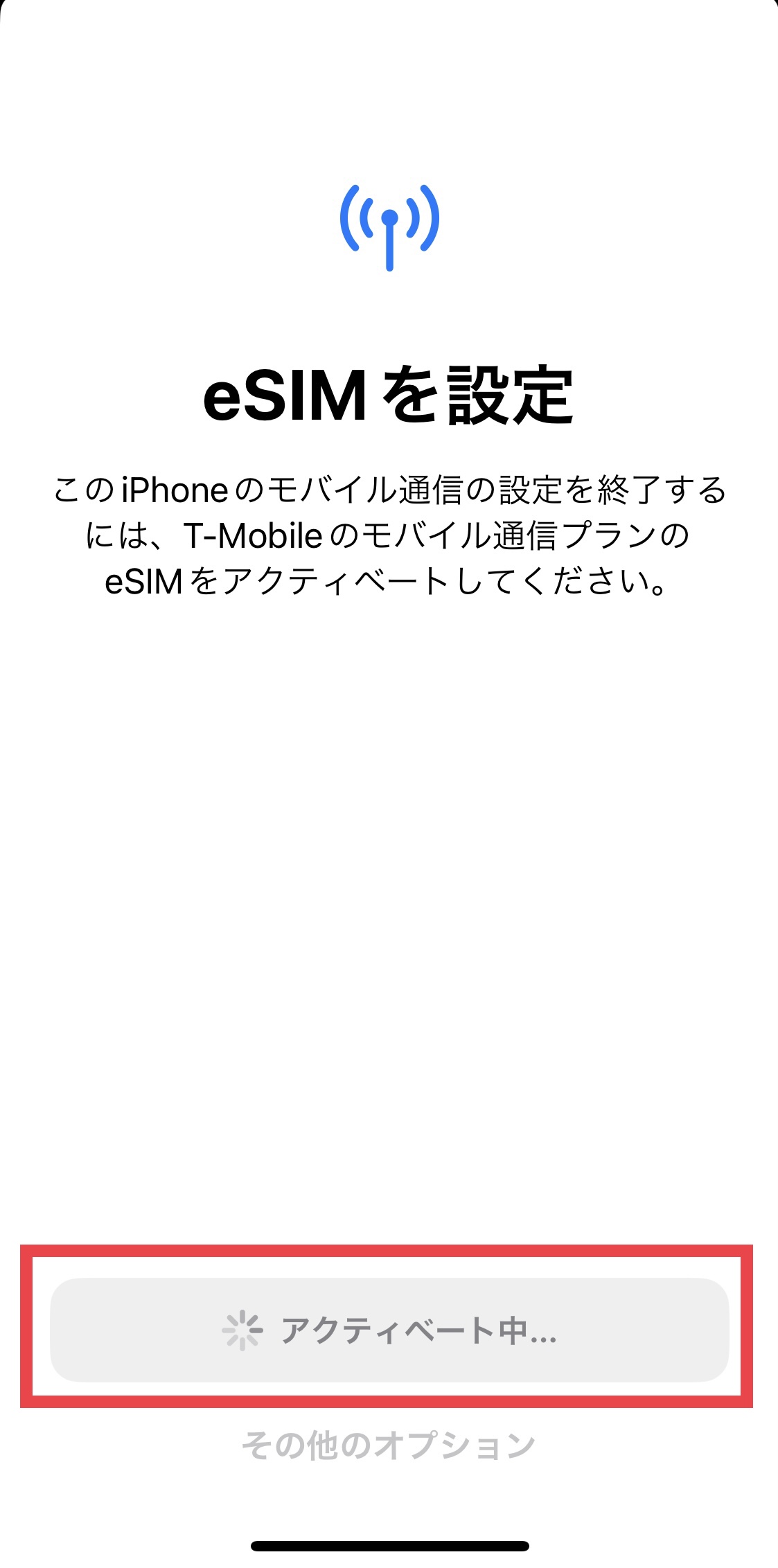 アクティベート中