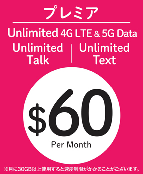 T-mobile アメリカ 30日間 5G/4G データ\u0026通話も！無制限