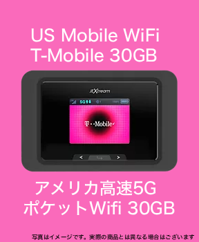 モバイルWiFi 毎月30GB / Mobile Hotspot — 30GB